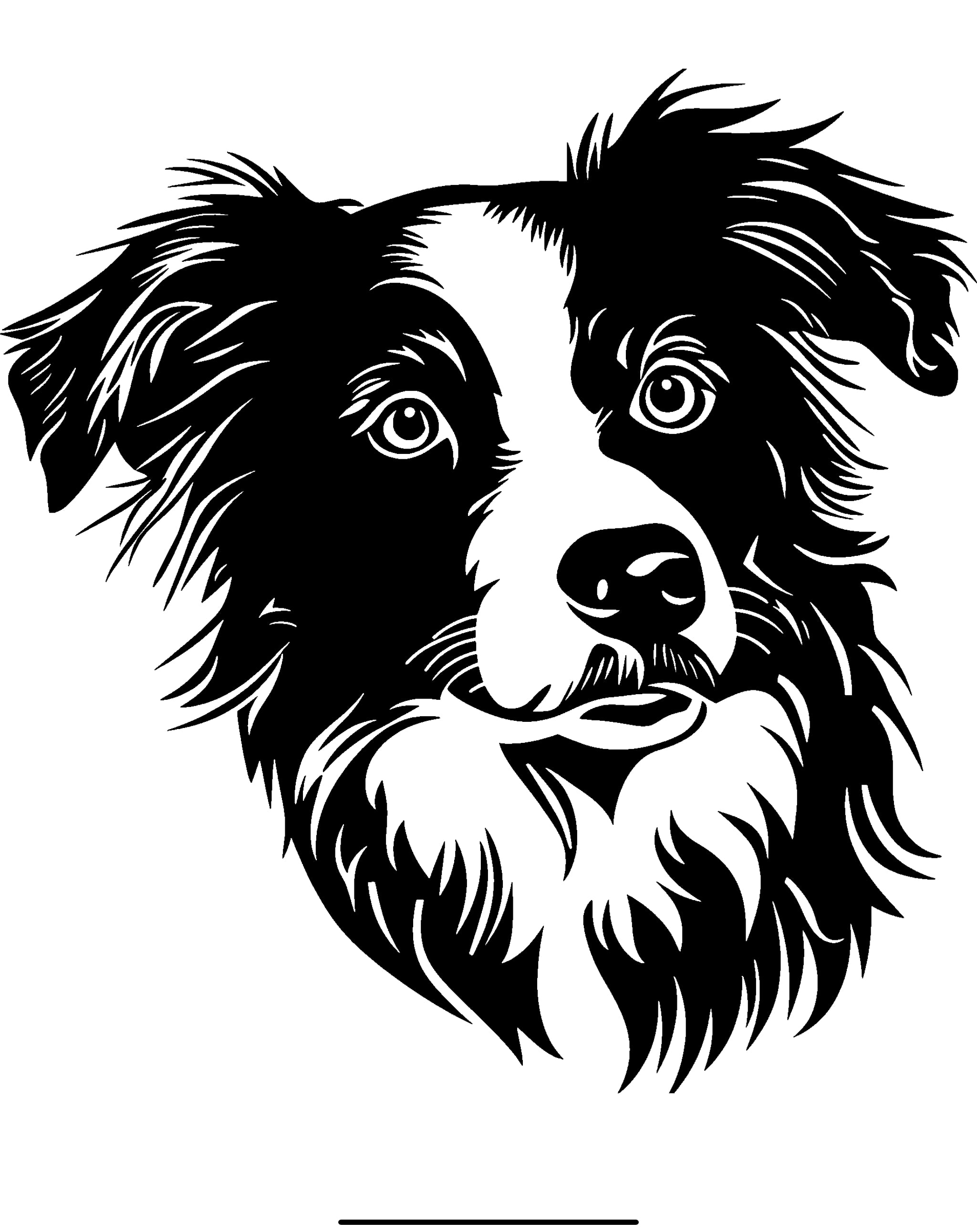 Border Collie Decal