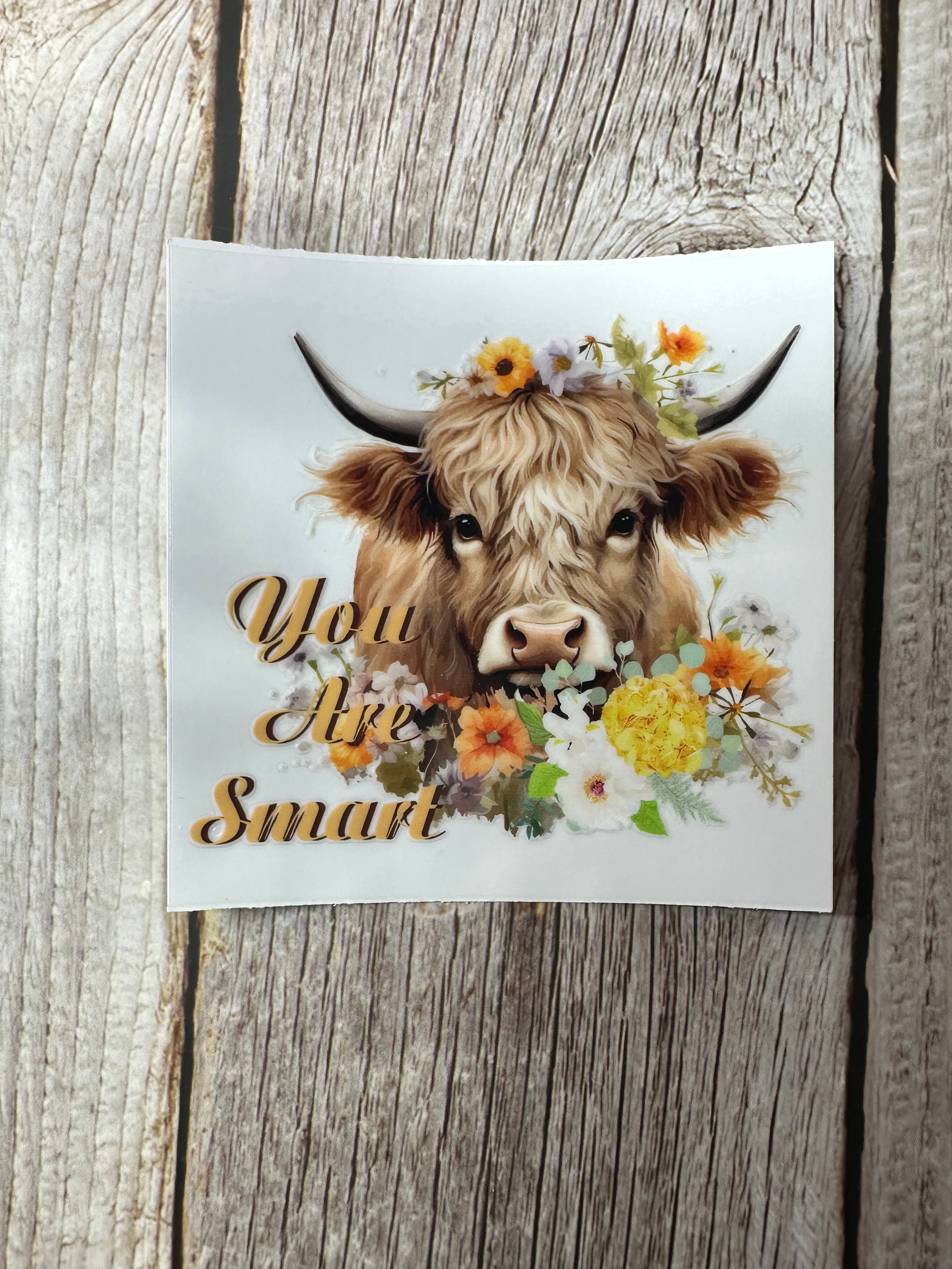 You are smart highland cow